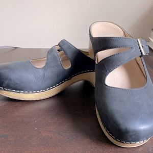 Dansko’s Brittany Clog.  Worn only twice.